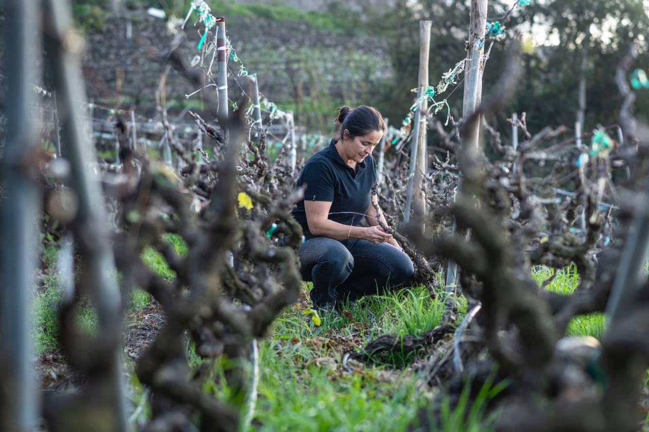 La joven bodeguera que embotella tradición familiar