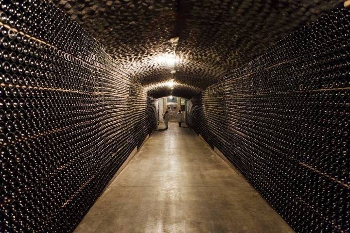 "Hoy en día cuesta encontrar un cava malo", explica Pons.