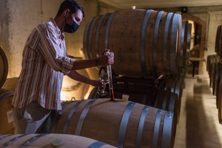 Bodega MontRubí: cata del Gaintus Sobremadurado en la cava