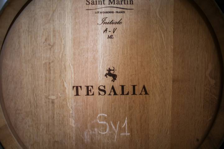 Bodega Tesalia