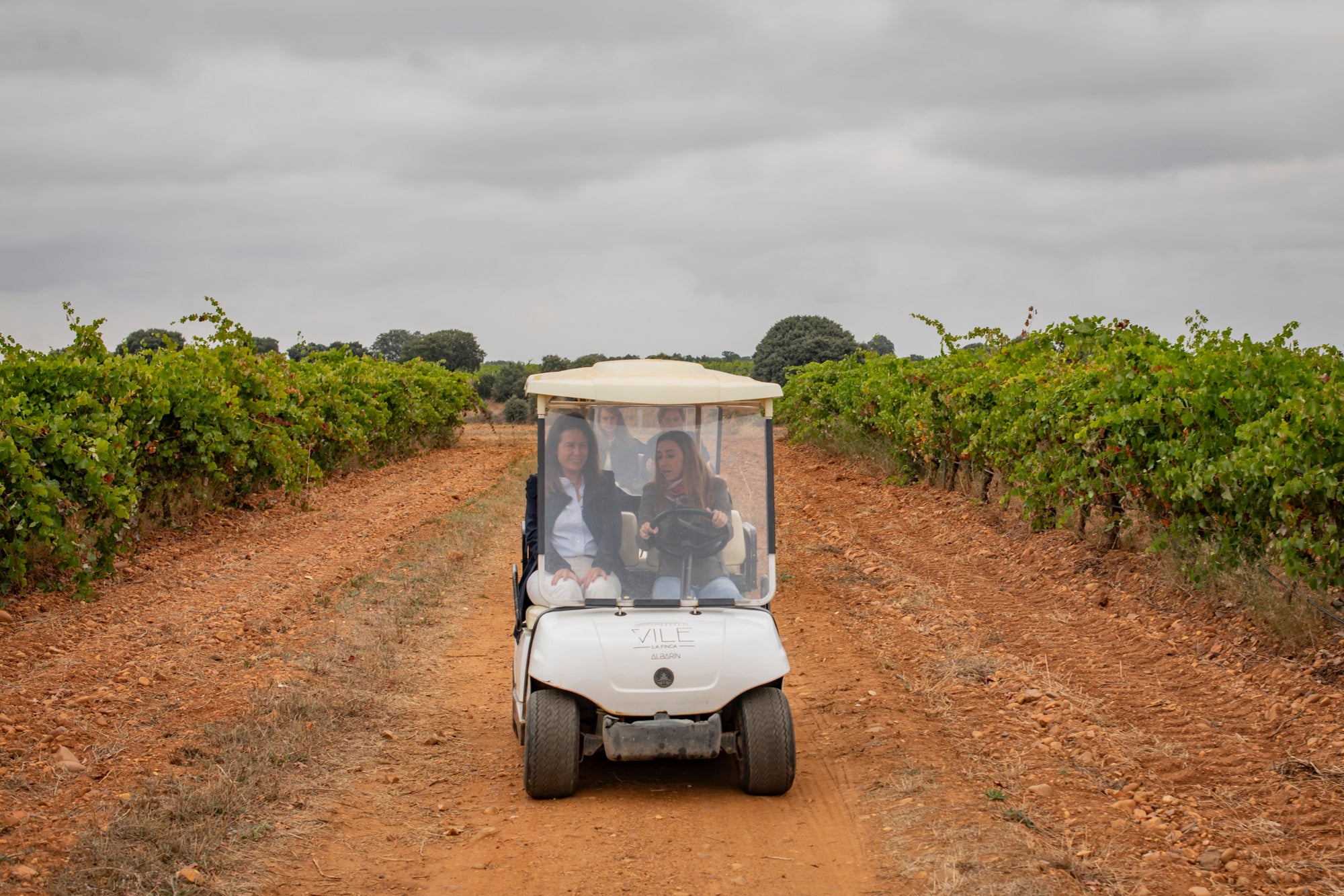 El paseo en buggie por los viñedos, el preferido por las familias.