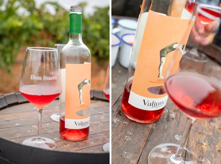 El Valjunco Rosado, un vino del año elaborado con la variedad Prieto Picudo.