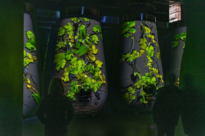 Videomapping en el interior de la bodega Arzuaga