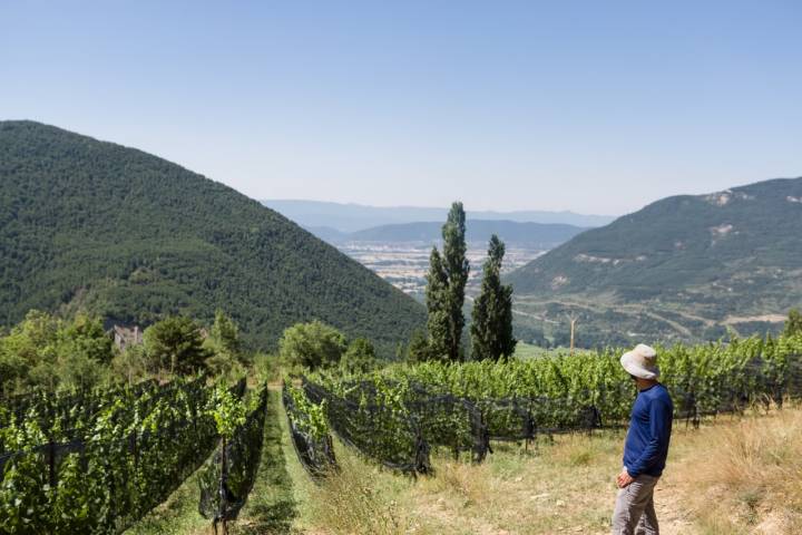 Bodegas Bal Minuta apertura