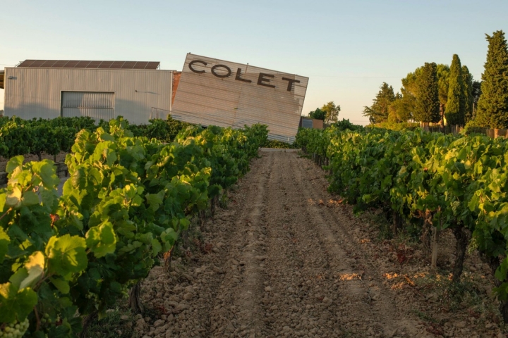 Entrada a la bodega en Pacs, obra del marido arquitecto de Olga, que ya ha construido otras bodegas en el Penedès.