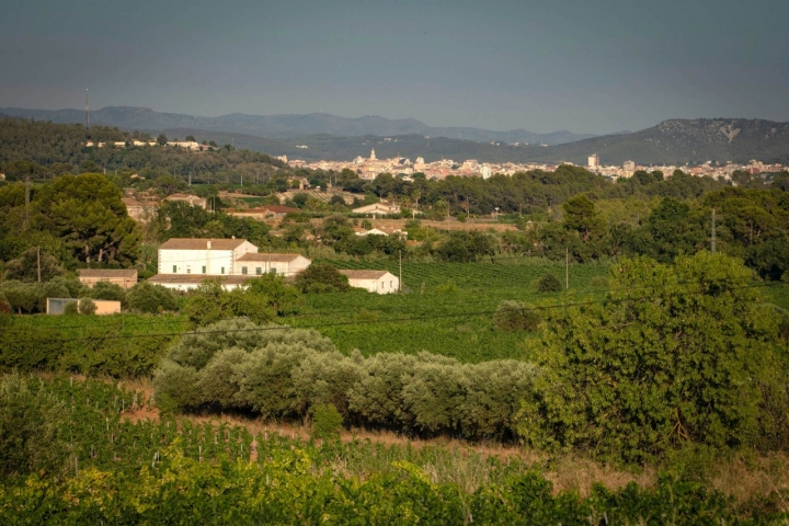 Vistas desde su finca de Sant Martí Sarroca en el Alto Penedès, con Villafranca al fondo.