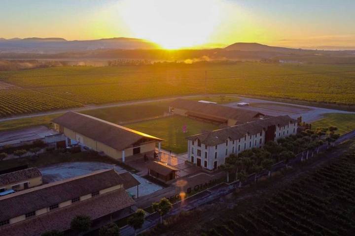 Vista general de la bodega Otazu. Amanecer