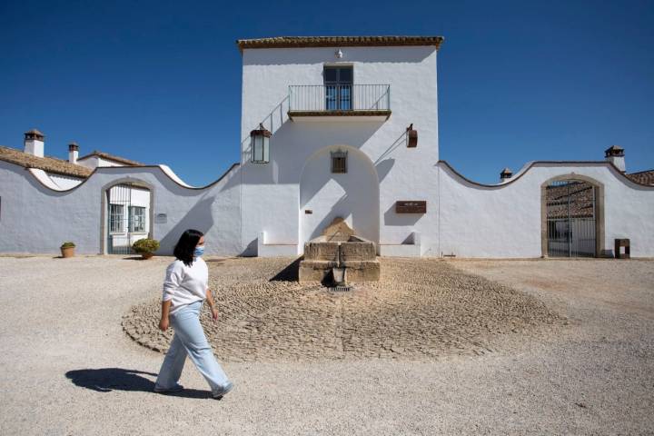 Enoturismo Ronda