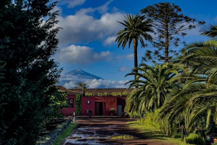 Vistas del Teide desde la Casa del Vino de Tenerife