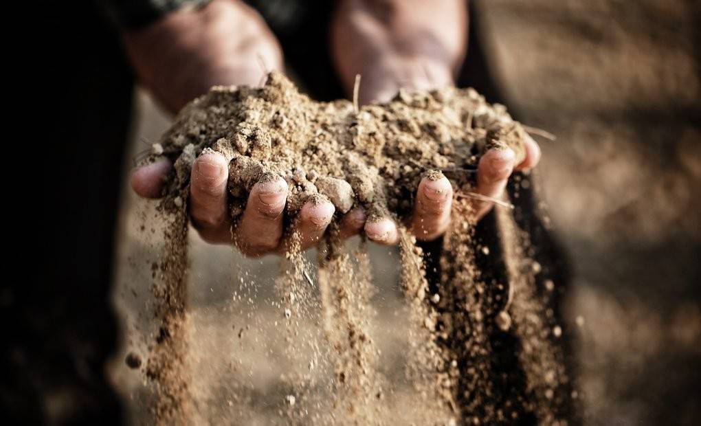 Los cavas de paraje hablan de su territorio, expresan terroir.