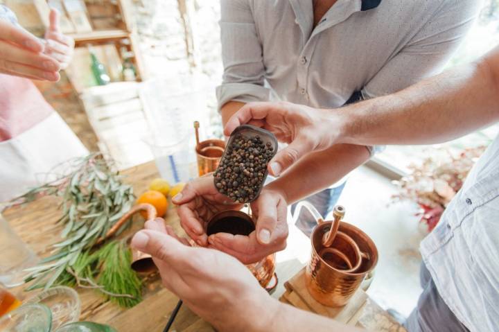 Ginebra Costa Brava Distillery: ingredientes y elementos