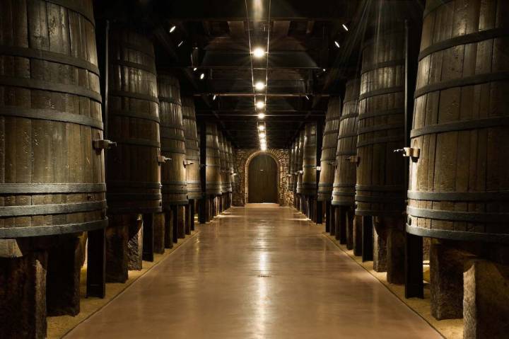 Sala de barricas de vino tinto.