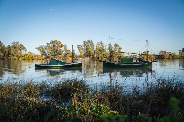 Guadalquivir Coria del Río