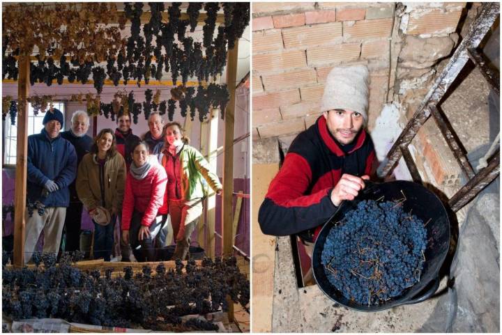 Miguel Martínez y familia en las colgaderas y con las uvas listas para el prensado.