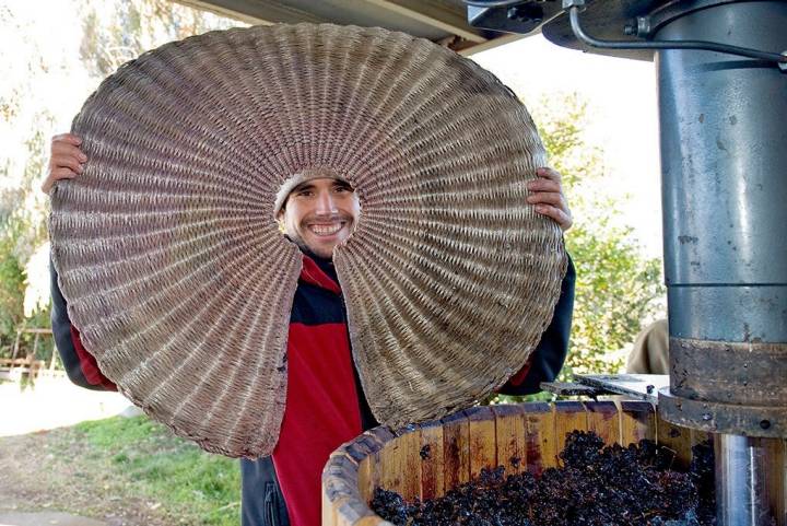 Miguel Martínez preparando las capas de esteras y uvas en la prensa.