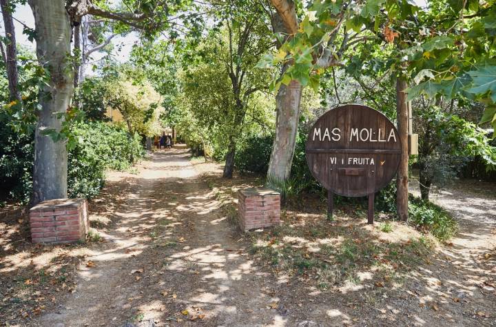 Bodega 'Mas Molla': entrada a la finca y bodega