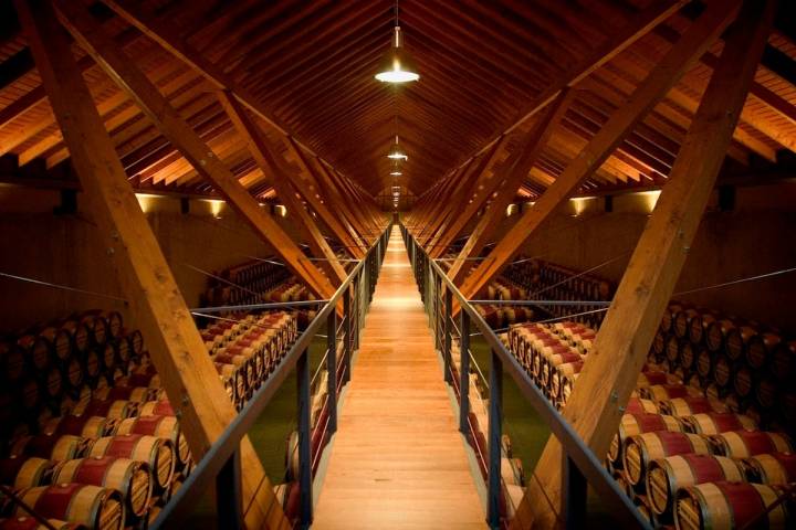 Bodega Arínzano. Arínzano, Navarra.