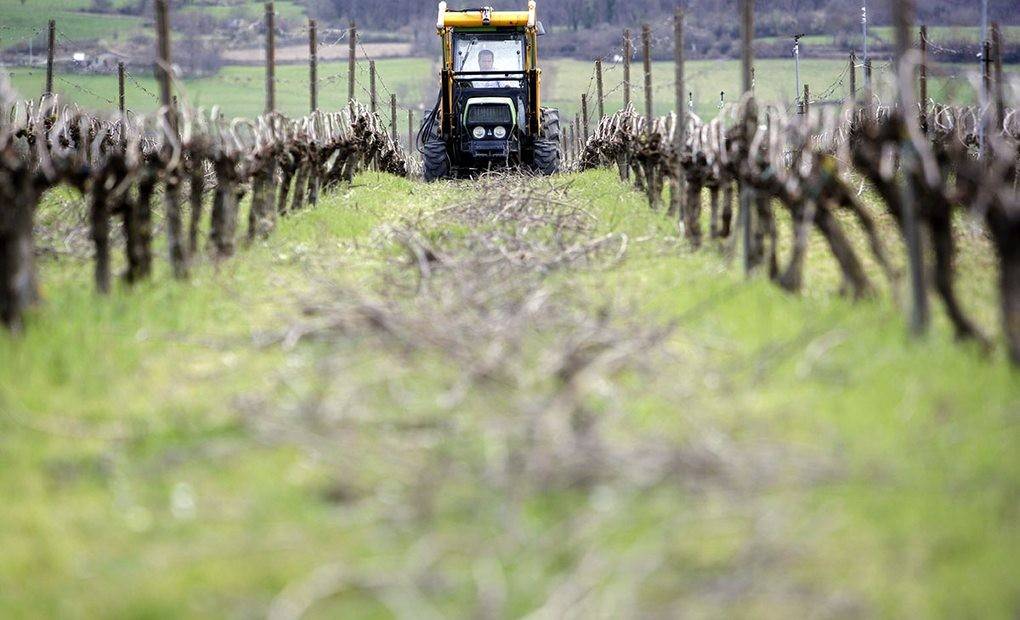 Amurrio, soliloquio al txakoli