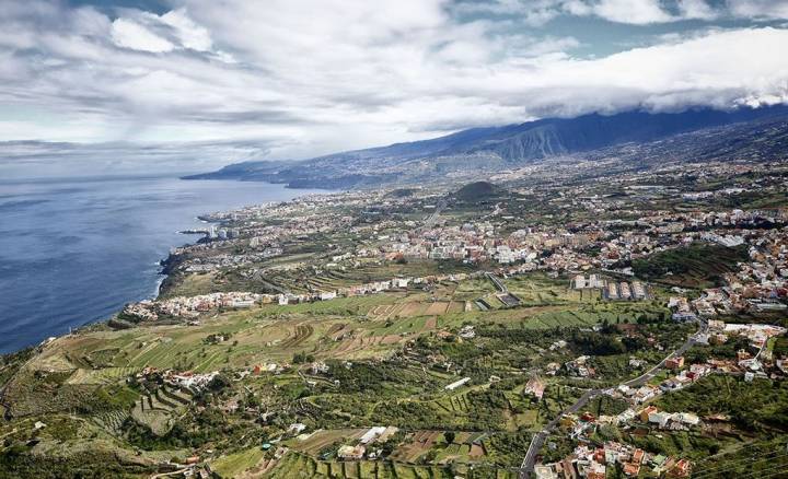 Panorámica del Valle de La Orotava, donde se cultivan las famosas 'malvasías'.