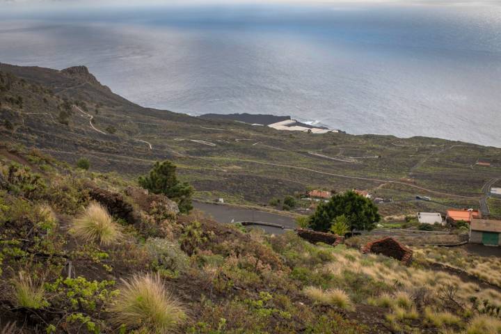 Los vinos de Llanos Negros crecen entre volcanes y el mar.