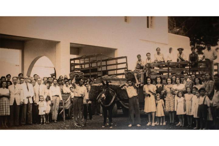 Los palmeros del Barrio de los Quemados en plena vendimia.