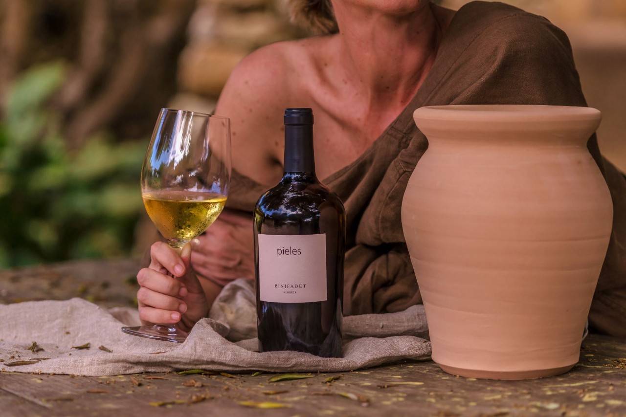 Vinos y bodegas