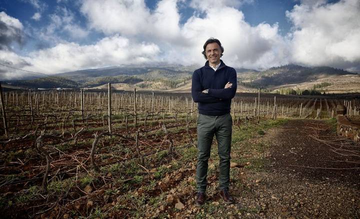 Enrique Alfonso en las viñas de Altos de Trevejos, a los pies del Teide.