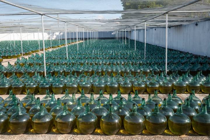 Damajuanas en la bodega De Alberto