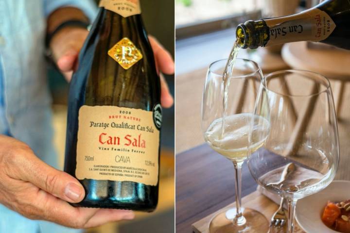 Vins Familia Ferrer: botella de Can Sala