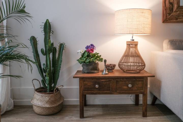 Cactus, mesita auxiliar y lámpara en el salón de la planta de abajo.