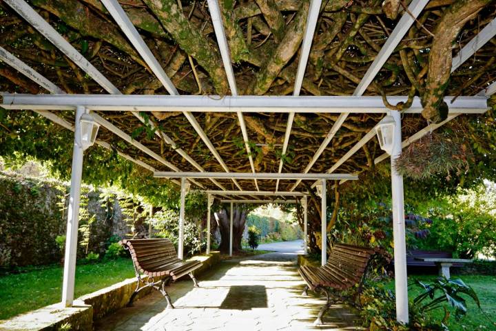 La Casona de Amandi (Villaviciosa, Asturias): pérgolas con glicinias