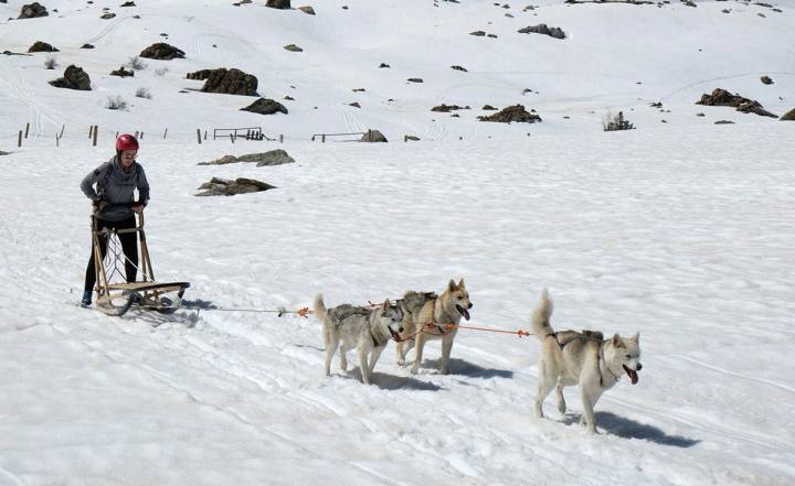 Refugios de montaña de Huesca. 'Mushing' organizado por Tena Park. Foto: Jorquera