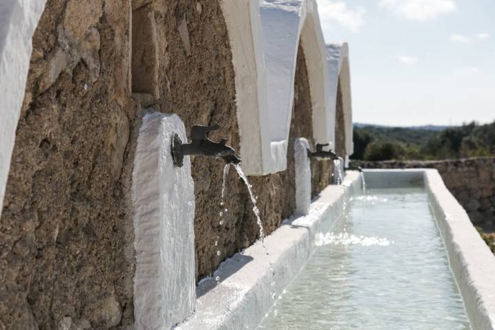 Fuente del alojamiento