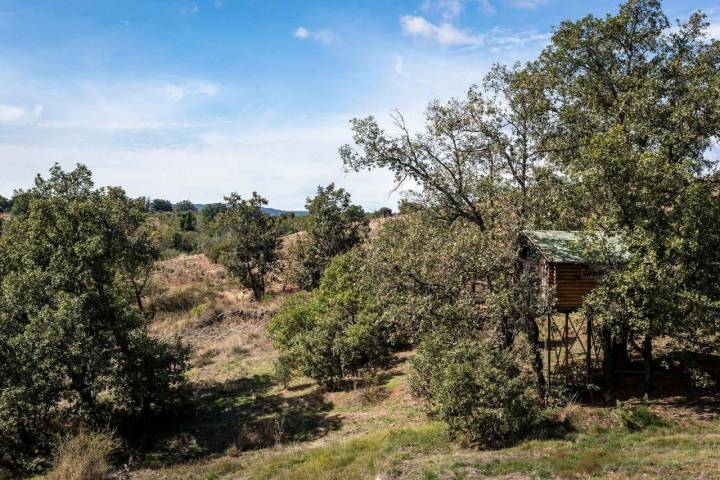 Las cabañas están totalmente integradas en el paisaje.