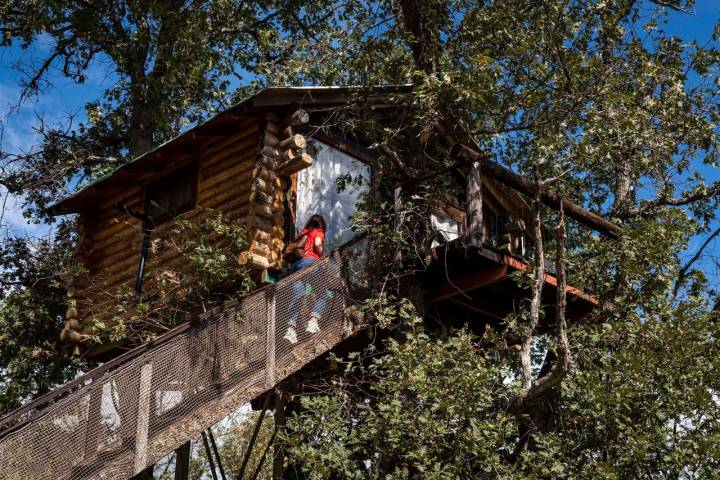 ​  Cabañas en los árboles de Extremadura (Villasbuenas de Gata, Cáceres)  ​