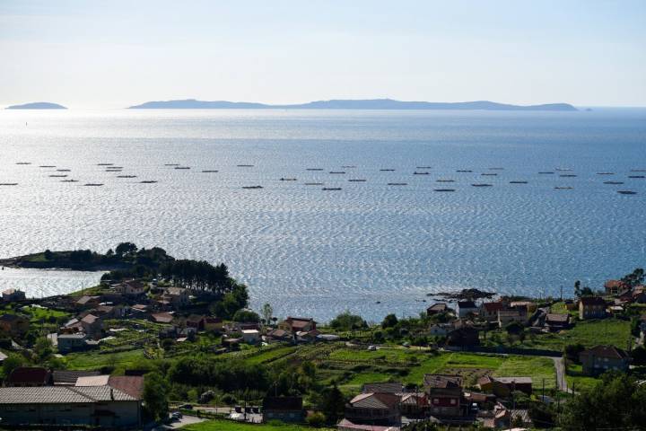 Vista sobre la Ría de Pontevedra.