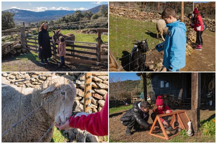 Niños en la granja Monte Holiday