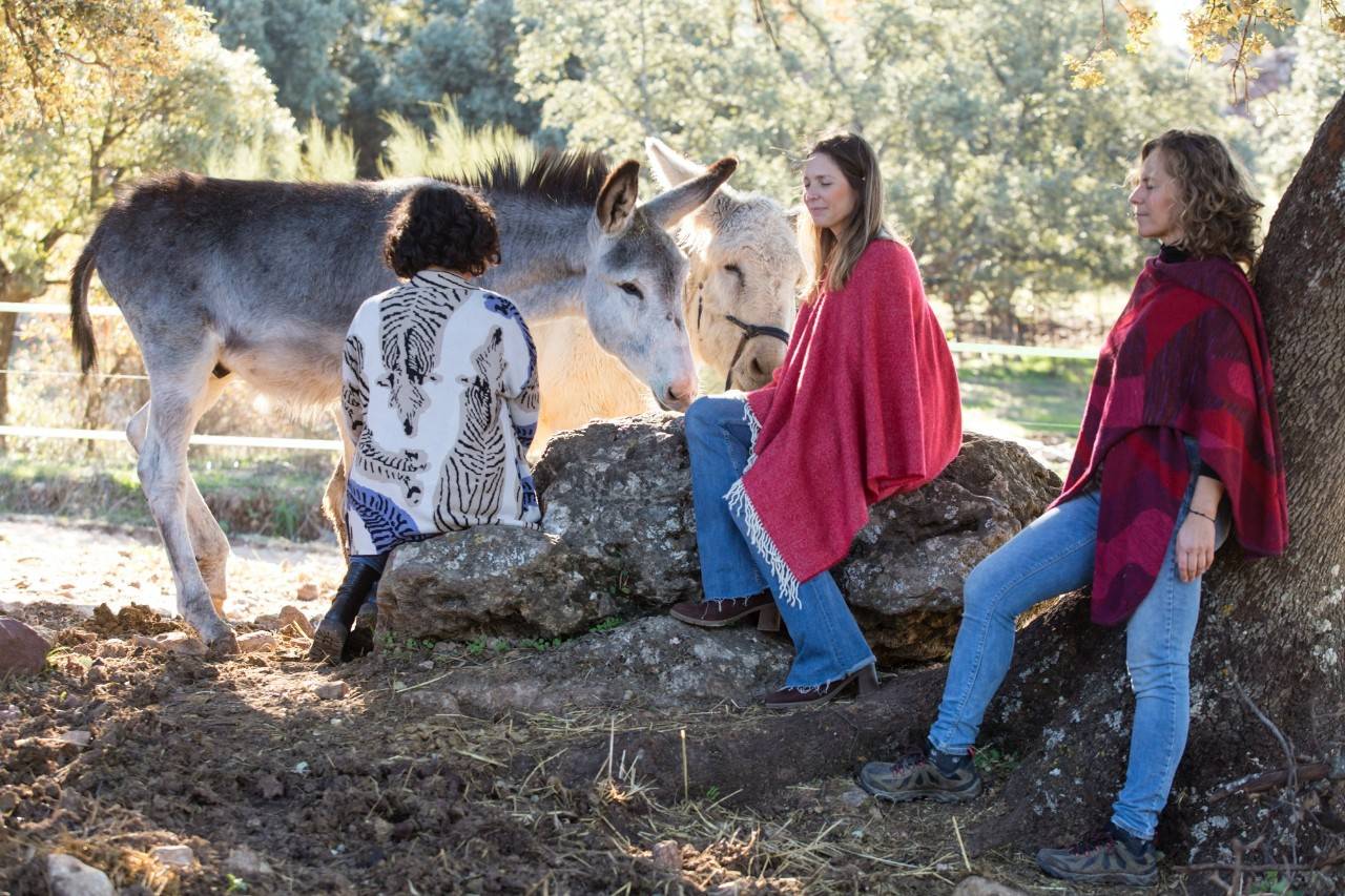 terapia con burros en finca la donaira