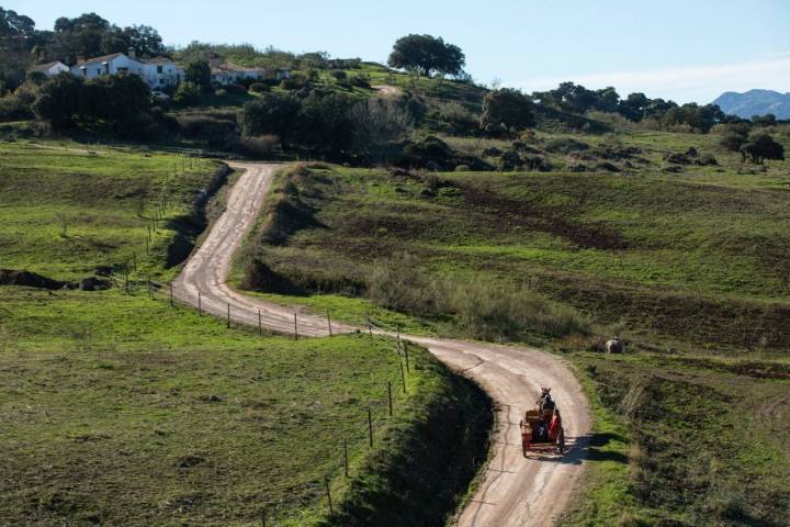 coche de caballos en finca la donaira