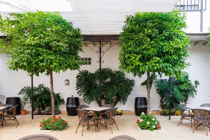 Patio interior del hotel Albariza (Sanlúcar de Barrameda) Patio interior del hotel Albariza (Sanlúcar de Barrameda)