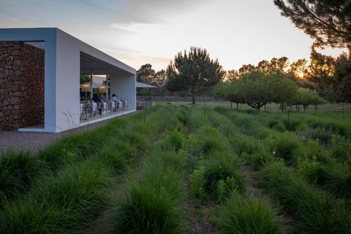 El restaurante está rodeado de los jardines mediterráneos de la finca.