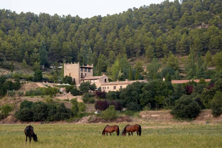 Caballos Torre del Visco