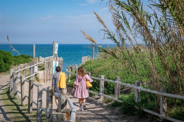 Camino a la playa, donde hay que tener especial cuidado con las dunas y las tortugas marinas.