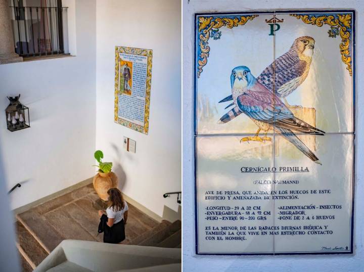 Más detalles de cómo la cerámica tiene presencia en este parador.