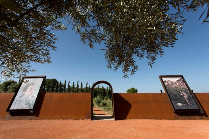 La aceituna como inspiración para las obras de arte que rodean la finca.