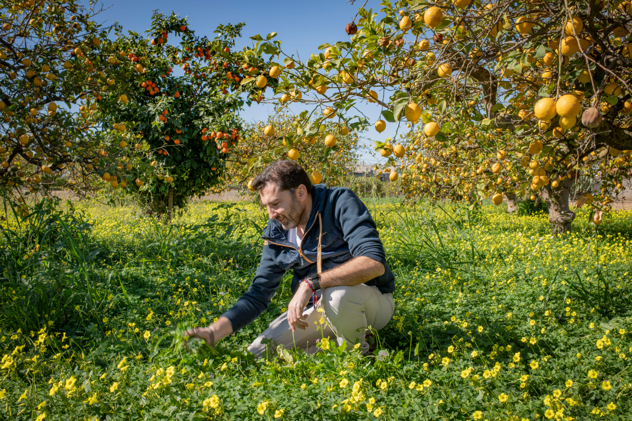 El primer menú de Gala gastro solo vegetal