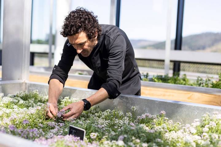 Las instalaciones que rodean 'Azurmendi' comparten espacio con las bodegas de 'Gorka Izagirre'.