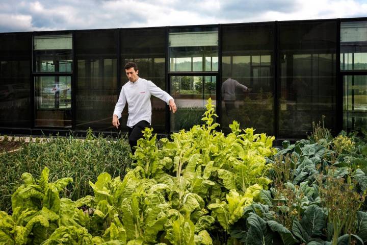 La plantación de 800 árboles en la zona de 'Azurmendi' es una de las muchas iniciativas de Atxa. Foto: Alfredo Cáliz