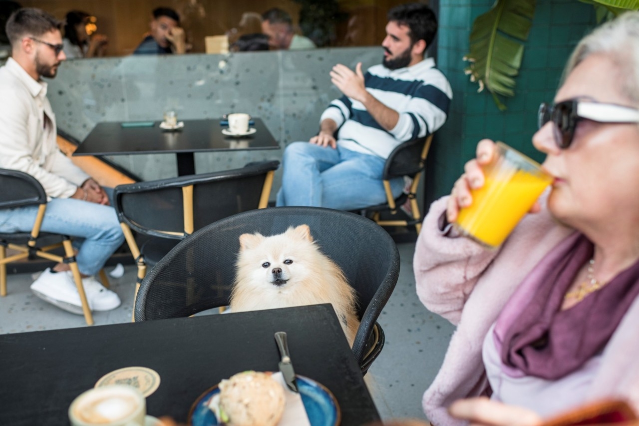 Desayunar a cualquier hora con tu amigo más peludo
