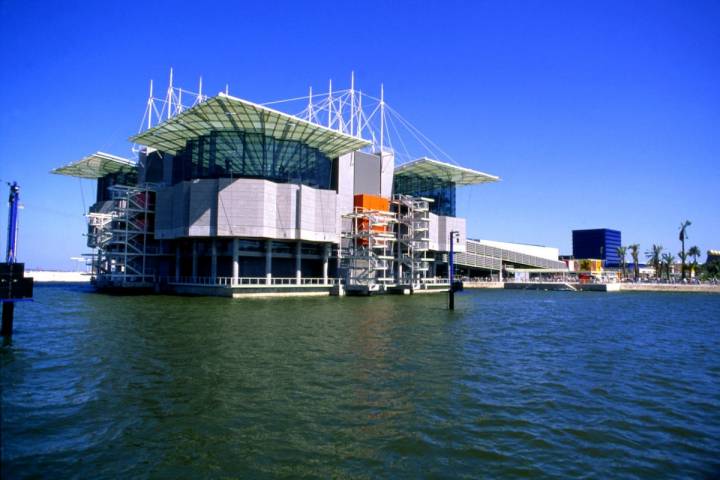 Oceanario. Foto: Turismo de Portugal.